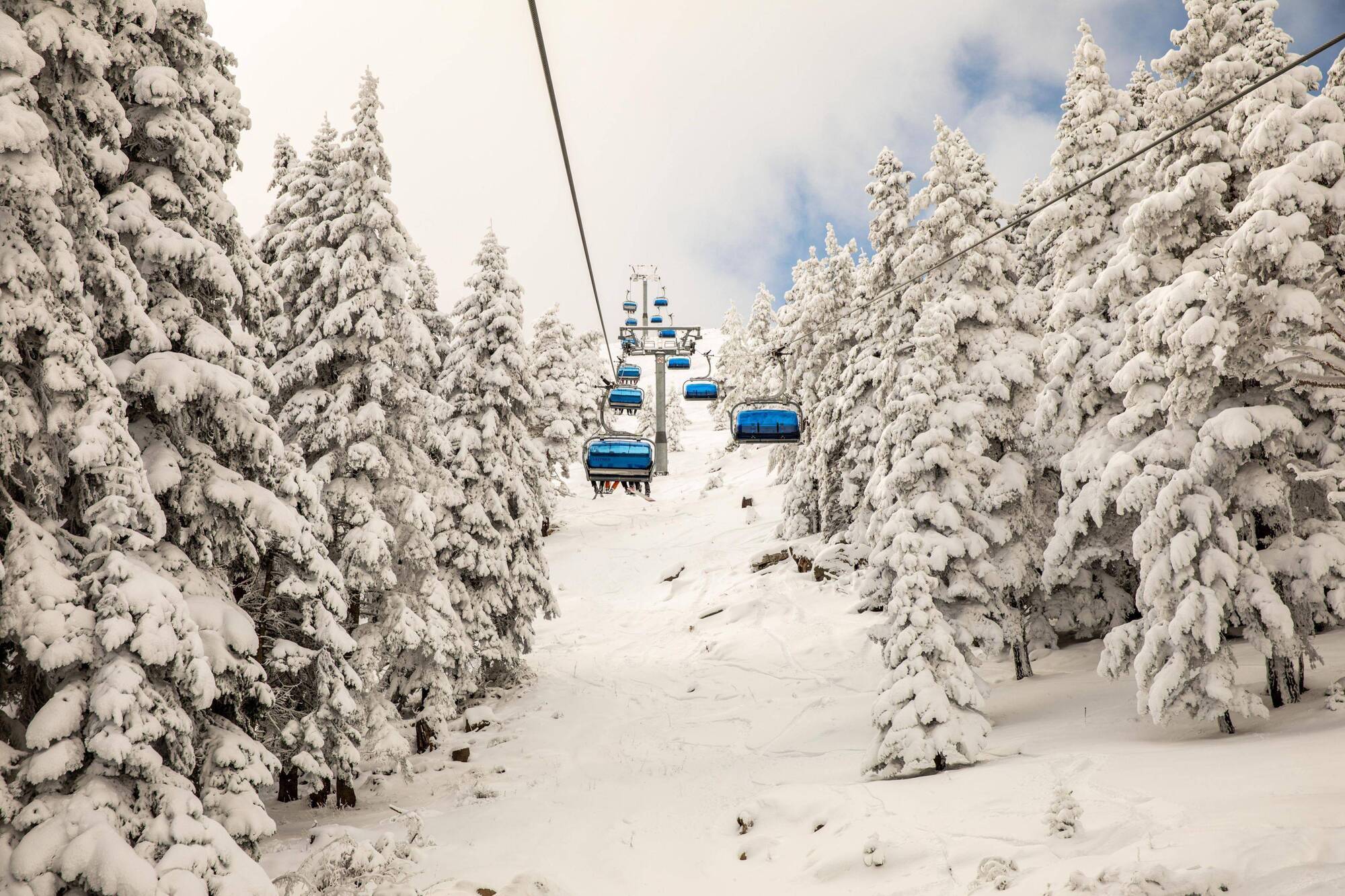 Dorukkaya Ski & Mountain Resort Болу Екстериор снимка
